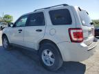 2009 Ford Escape Xlt for Sale in Lebanon, TN - Hail