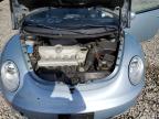 2010 Volkswagen New Beetle  იყიდება Memphis-ში, TN - Rear End
