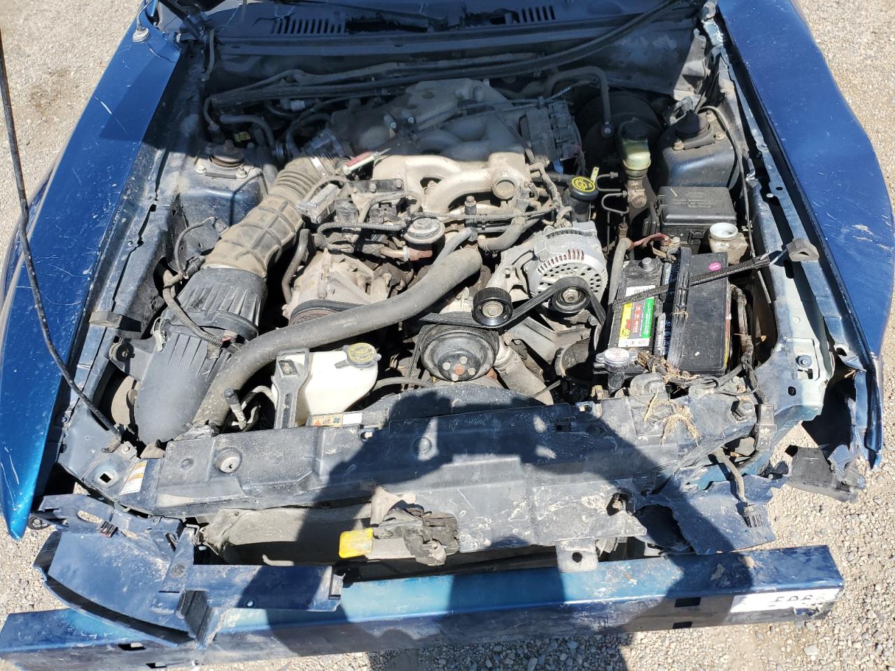 2000 Ford Mustang VIN: 1FAFP4047YF215289 Lot: 53923975