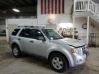 2010 Ford Escape Xlt იყიდება Des Moines-ში, IA - Front End
