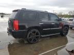 2008 Cadillac Escalade Luxury for Sale in Louisville, KY - Rear End