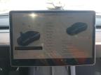 2025 Tesla Model Y  for Sale in Martinez, CA - All Over