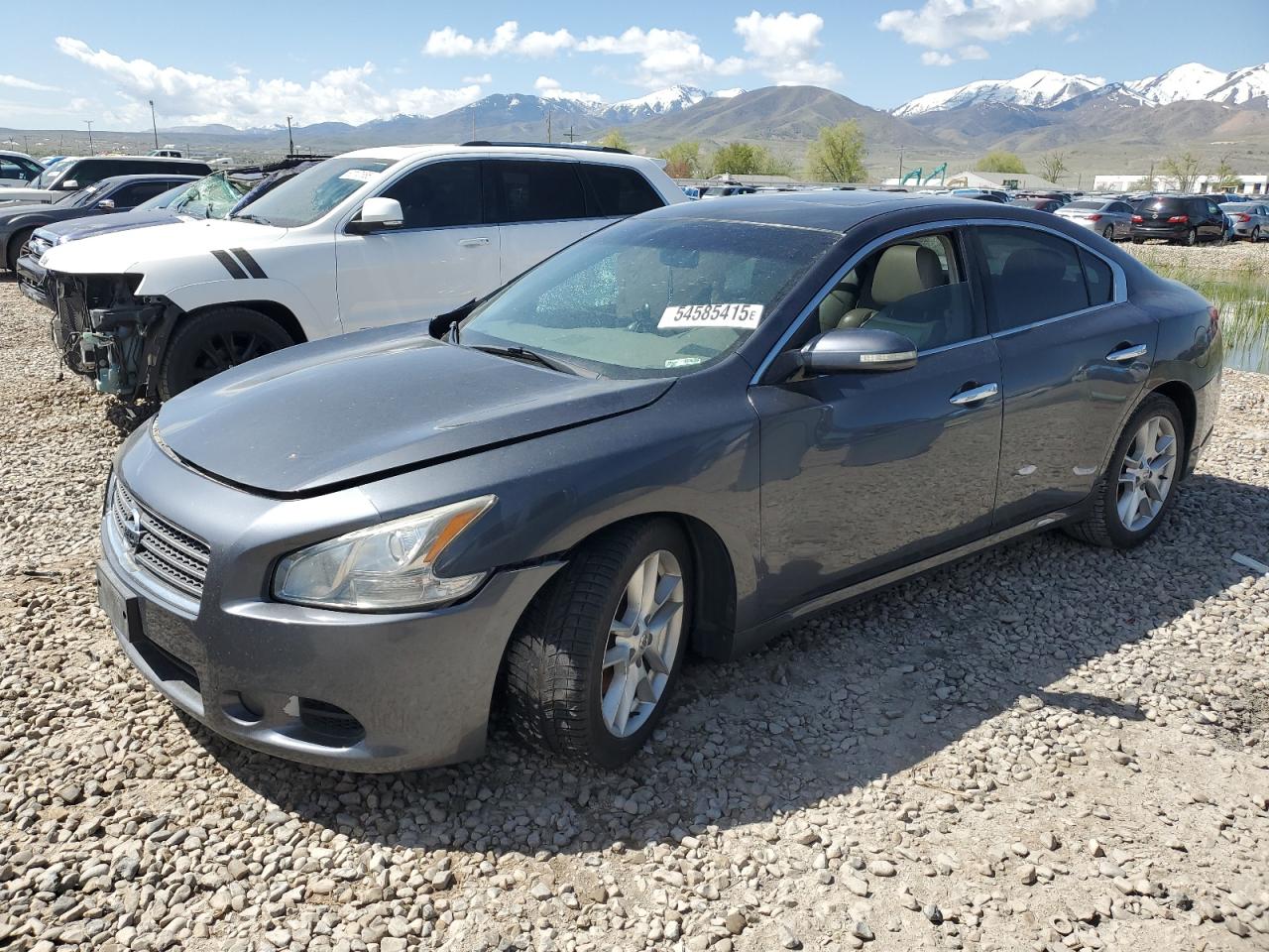 2009 Nissan Maxima S for Sale in Magna, UT - Side