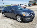 Louisville, KY에서 판매 중인 2014 Nissan Altima 2.5 - Hail
