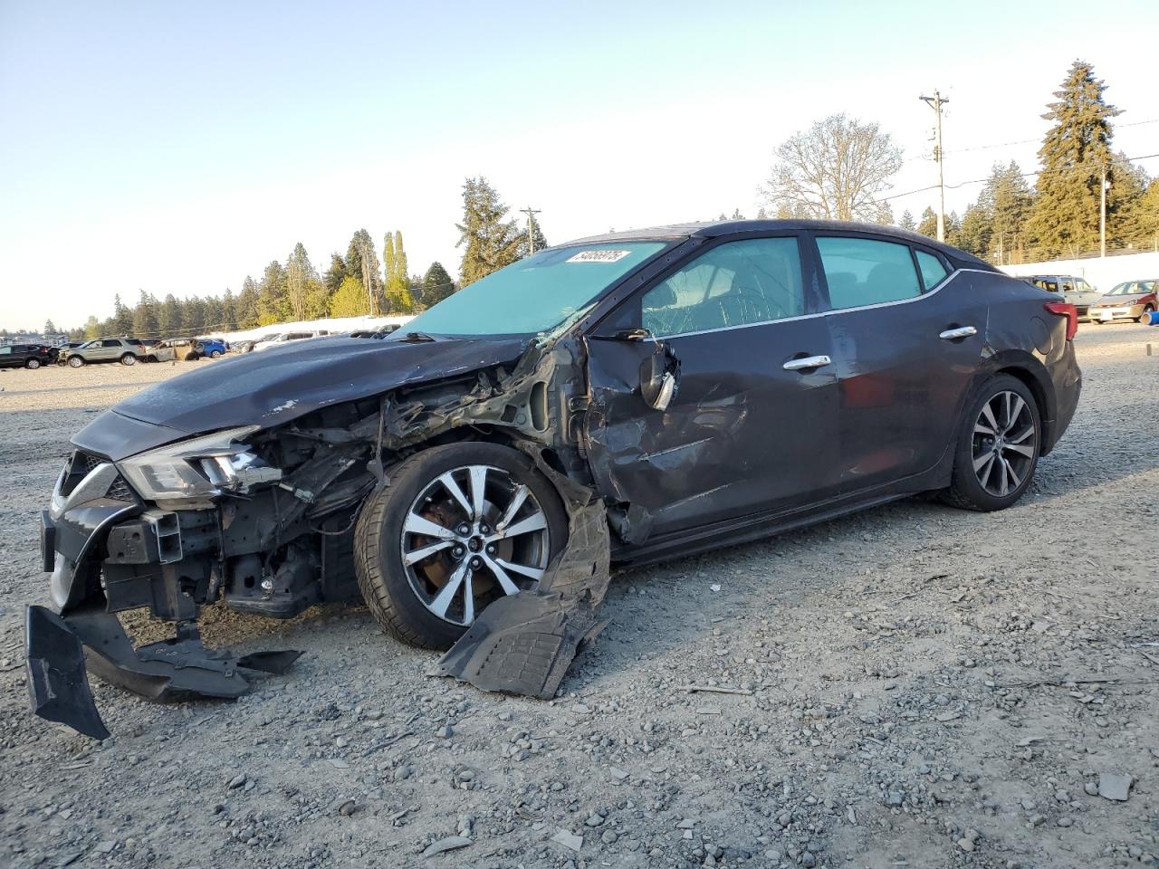 2017 Nissan Maxima 3.5S for Sale in Graham, WA - Front End