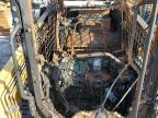 2023 Asv Tracked Skid Steer Loader for Sale in Florence, MS - Burn