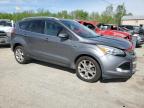 2014 Ford Escape Titanium   na sprzedaż w Pekin, IL - Front End