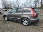 2009 Honda Cr-V Exl for Sale in Cicero, IN - Front End