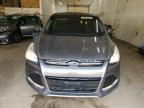 Ham Lake, MN에서 판매 중인 2013 Ford Escape Sel - Front End