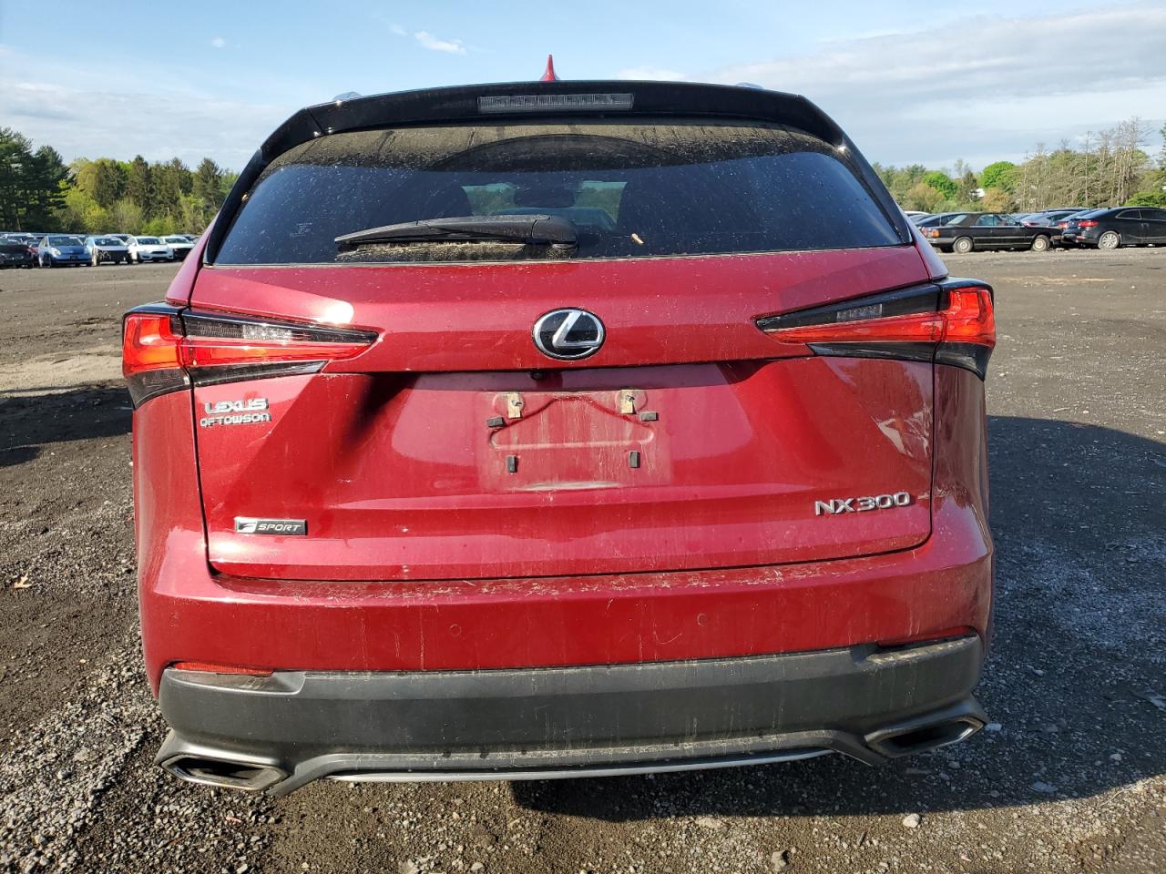 2019 Lexus Nx 300 Base VIN: JTJBARBZ4K2194204 Lot: 53959145