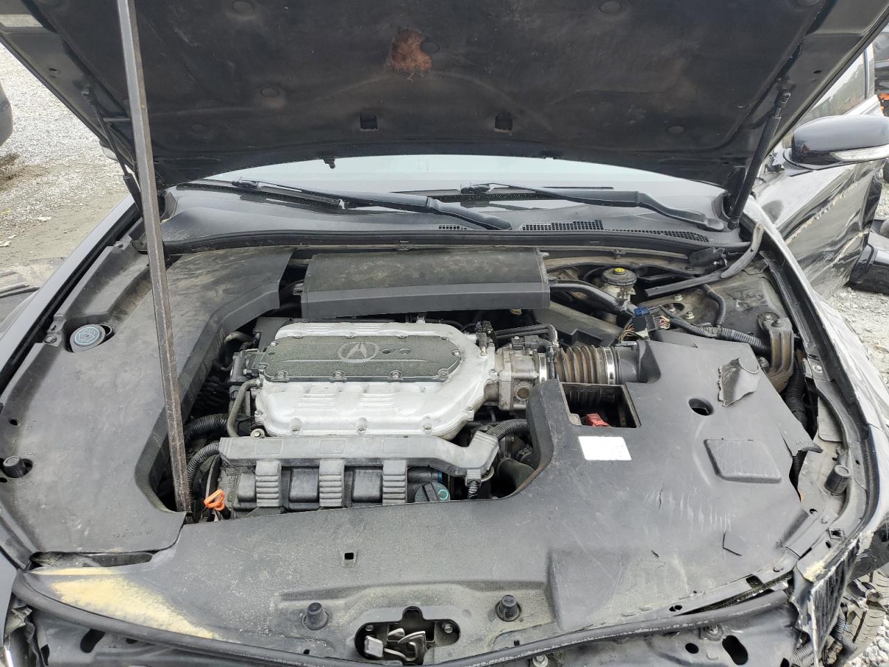 2011 Acura Tl VIN: 19UUA9F51BA000271 Lot: 51940405
