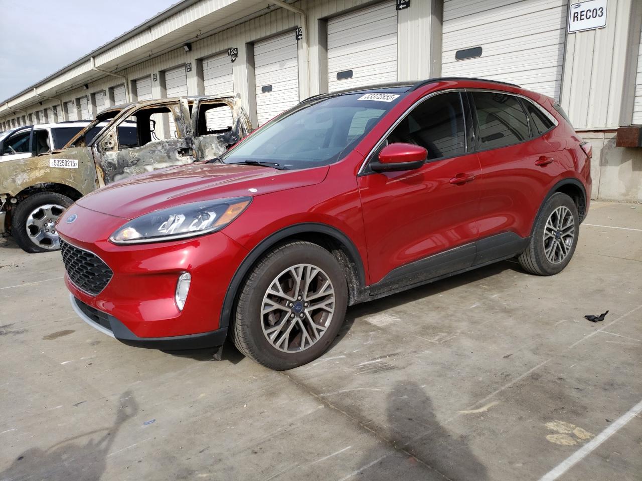 2021 Ford Escape Sel zu verkaufen in Louisville, KY - Hail