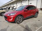 2021 Ford Escape Sel zu verkaufen in Louisville, KY - Hail