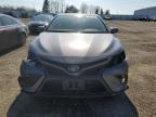 2021 TOYOTA CAMRY XLE for sale at Copart ON - TORONTO