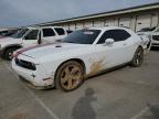 2013 Dodge Challenger Sxt na sprzedaż w Louisville, KY - All Over