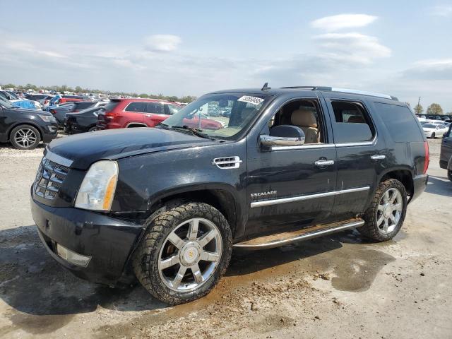 2010 Cadillac Escalade 