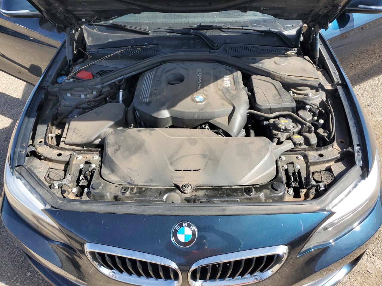 2017 BMW 230I VIN: WBA2F9C31H7A40284 Lot: 54183765