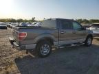 Mercedes, TX에서 판매 중인 2010 Ford F150 Supercrew - Water/Flood