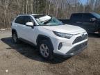 2023 TOYOTA RAV4 XLE for sale at Copart ON - COOKSTOWN