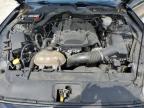 2017 Ford Mustang  na sprzedaż w Gaston, SC - Normal Wear