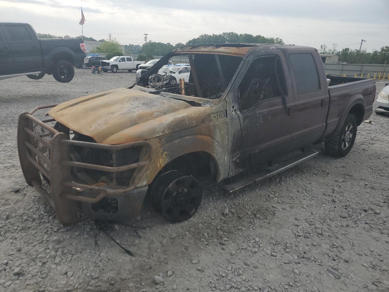 2015 Ford F250 Super Duty zu verkaufen in Montgomery, AL - Burn