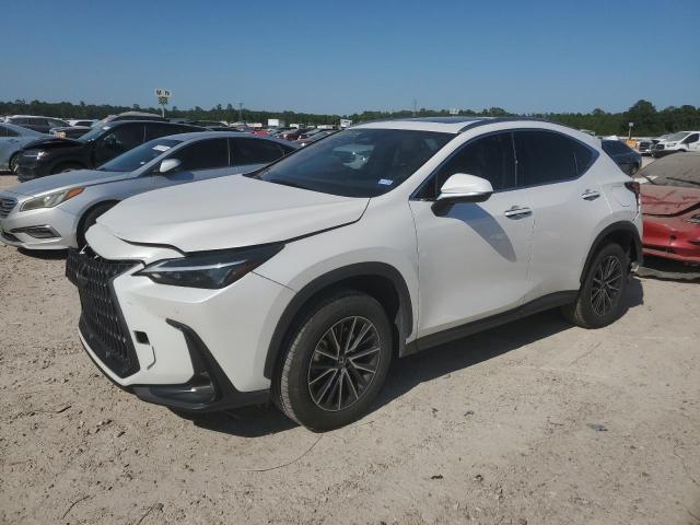 LEXUS NX 350 PRE 2024