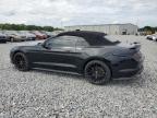 2019 Ford Mustang  na sprzedaż w Apopka, FL - Normal Wear