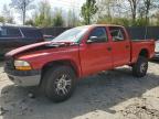 2003 Dodge Dakota Quad Sport for Sale in Waldorf, MD - All Over