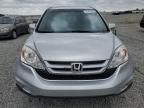 2010 Honda Cr-V Exl   zu verkaufen in Earlington, KY - Hail