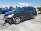 2006 Honda Odyssey Exl იყიდება Wilmington-ში, CA - All Over