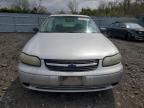 2002 Chevrolet Malibu  for Sale in Marlboro, NY - Normal Wear