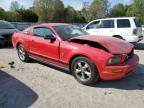 2009 Ford Mustang  zu verkaufen in Seaford, DE - Front End