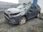 2020 TOYOTA RAV4 XLE à vendre chez Copart NS - HALIFAX