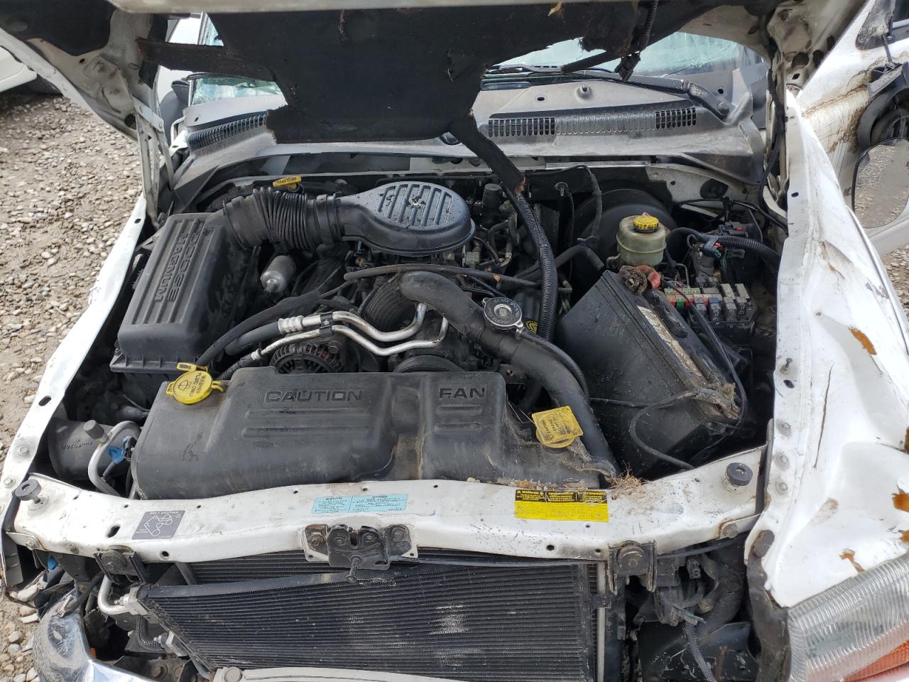 2000 Dodge Durango VIN: 1B4HS28Z6YF202195 Lot: 55115865