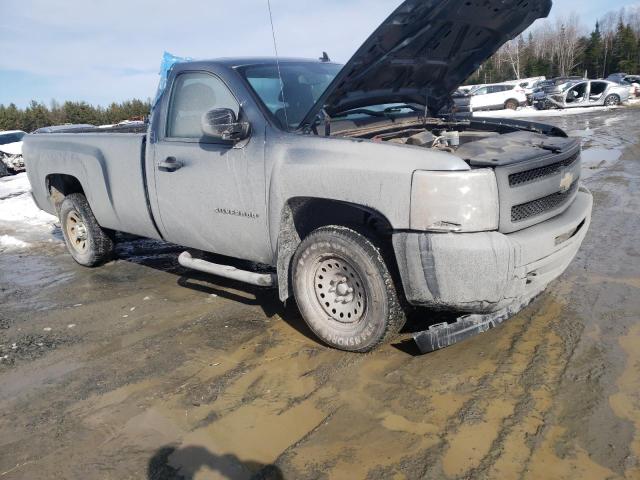 2010 CHEVROLET SILVERADO K1500