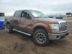 2011 Ford F150 Supercrew for Sale in Brighton, CO - Side