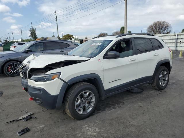  JEEP CHEROKEE 2019 Biały