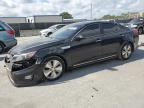 2015 Kia Optima Hybrid for Sale in Orlando, FL - Front End