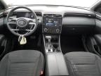 2022 Hyundai Santa Cruz Sel na sprzedaż w Madisonville, TN - Rear End