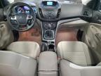 2013 Ford Escape Se for Sale in Blaine, MN - Front End