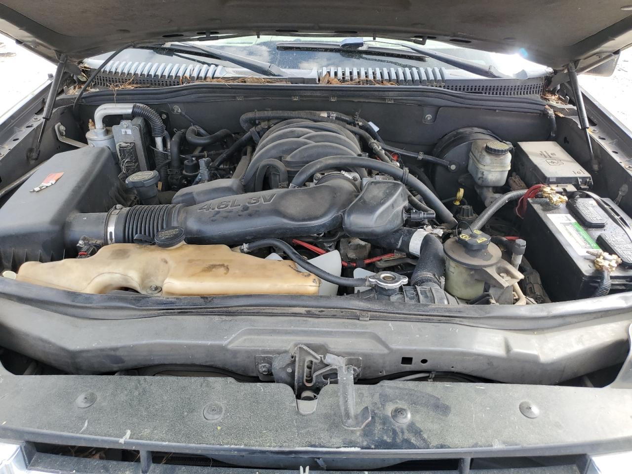 2007 Ford Explorer Eddie Bauer VIN: 1FMEU64877UB72893 Lot: 49466955
