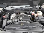 Cahokia Heights, IL에서 판매 중인 2024 Chevrolet Silverado K2500 Heavy Duty Lt - Hail