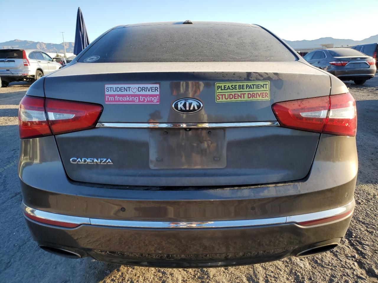 2014 Kia Cadenza Premium VIN: KNALN4D79E5130587 Lot: 54948125