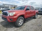 2013 Toyota Tacoma Double Cab Prerunner for Sale in Earlington, KY - Hail