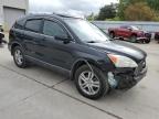 2010 Honda Cr-V Exl for Sale in Gaston, SC - Front End