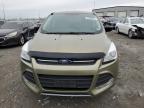 2013 Ford Escape Se   იყიდება Cahokia Heights-ში, IL - Hail
