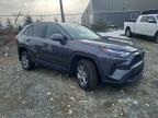 2024 TOYOTA RAV4 XLE for sale at Copart NS - HALIFAX