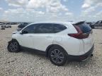 2022 Honda Cr-V Exl en Venta en Temple, TX - Front End