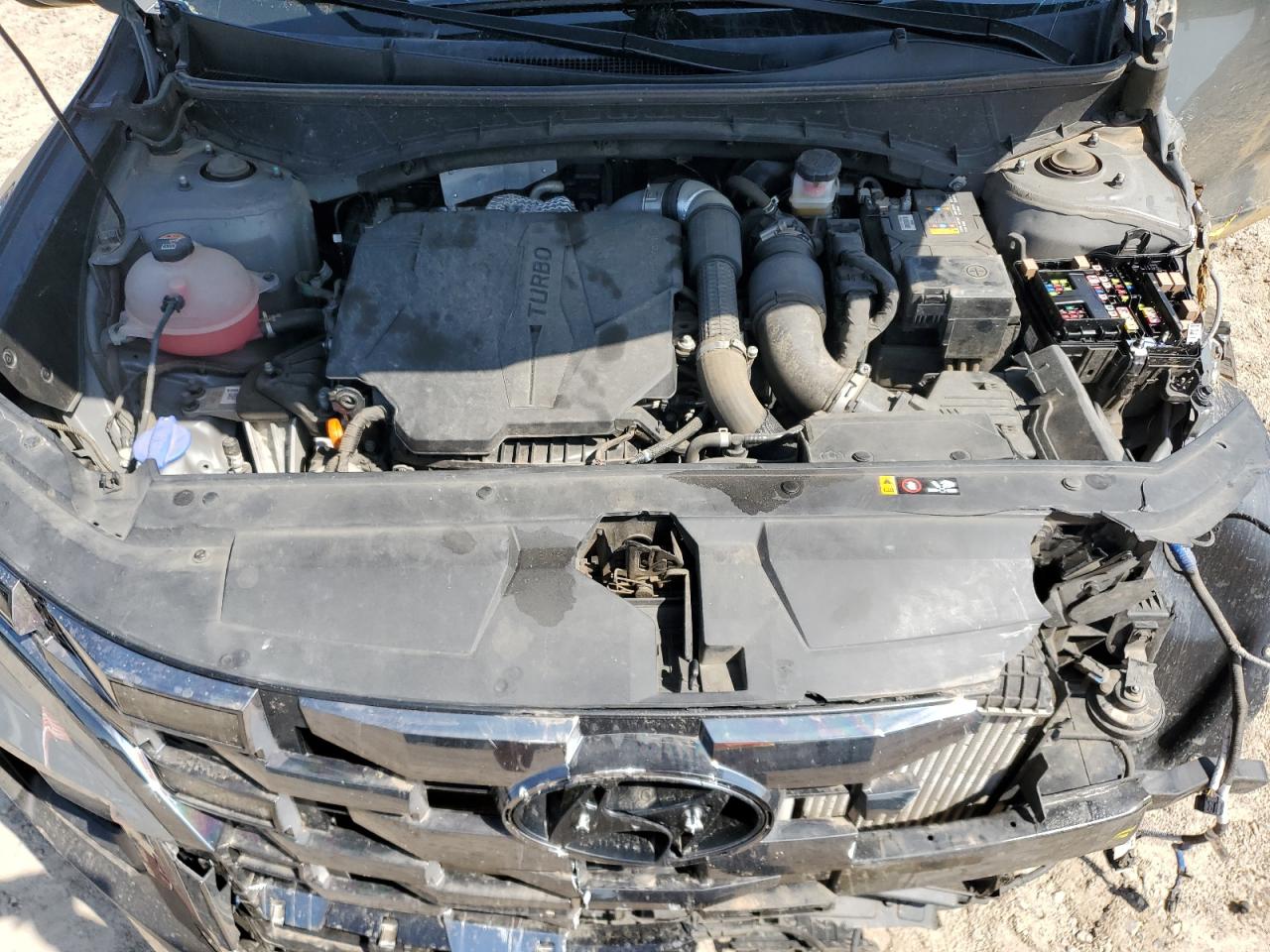 2022 Hyundai Santa Cruz Limited VIN: 5NTJEDAF8NH003689 Lot: 54707005
