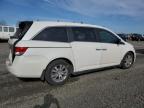 2017 Honda Odyssey Exl for Sale in Eugene, OR - Rear End